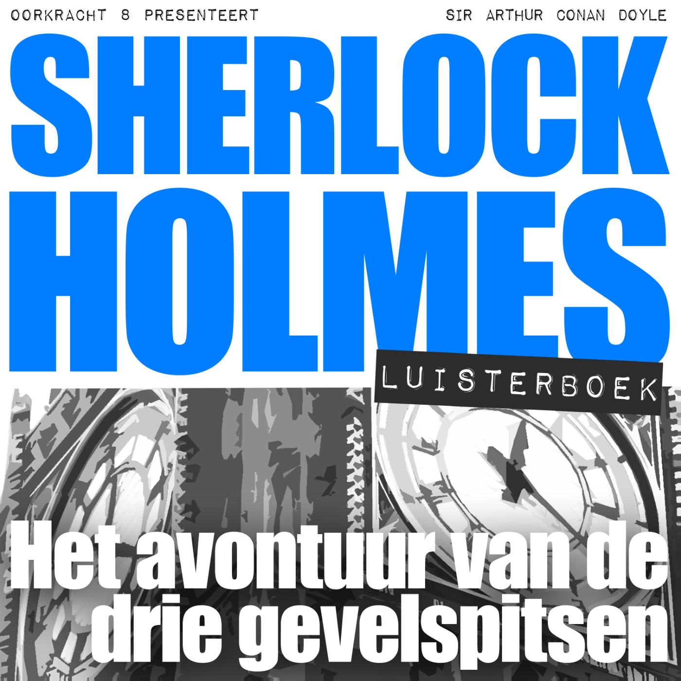 Omslag van Het avontuur van de drie gevelspitsen