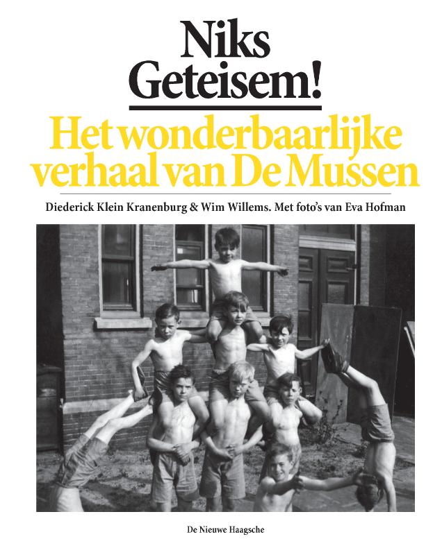 Omslag van Niks geteisem!