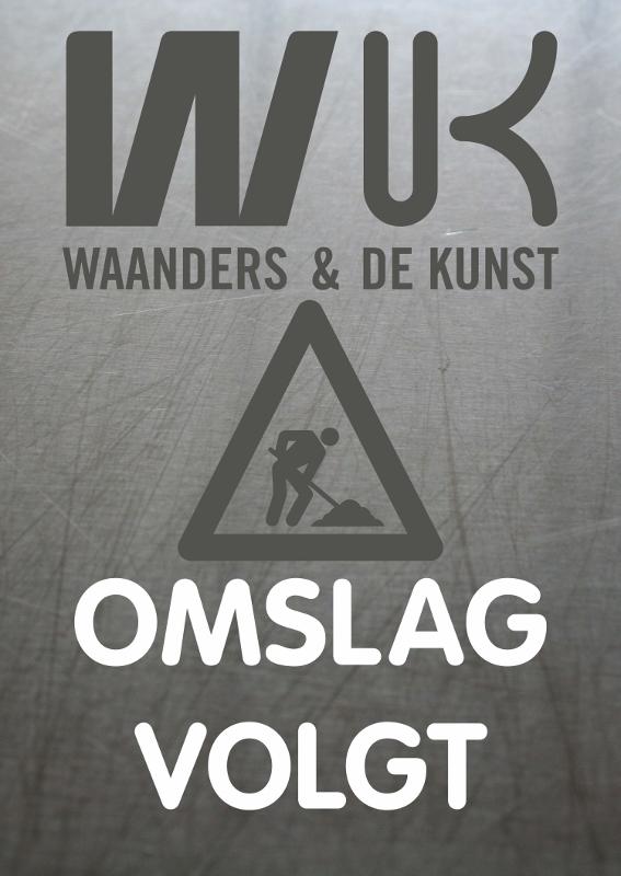 Omslag van De man van marmer