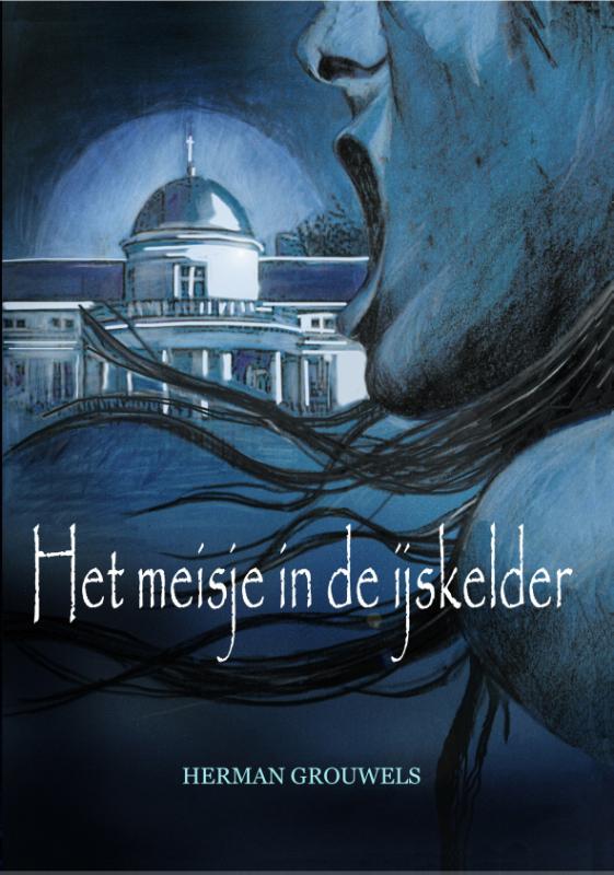 Omslag van Het meisje in de ijskelder