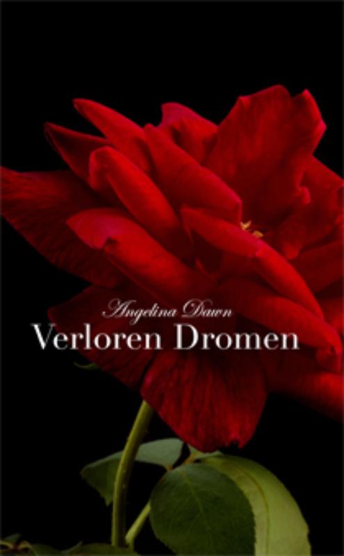 Omslag van Verloren dromen