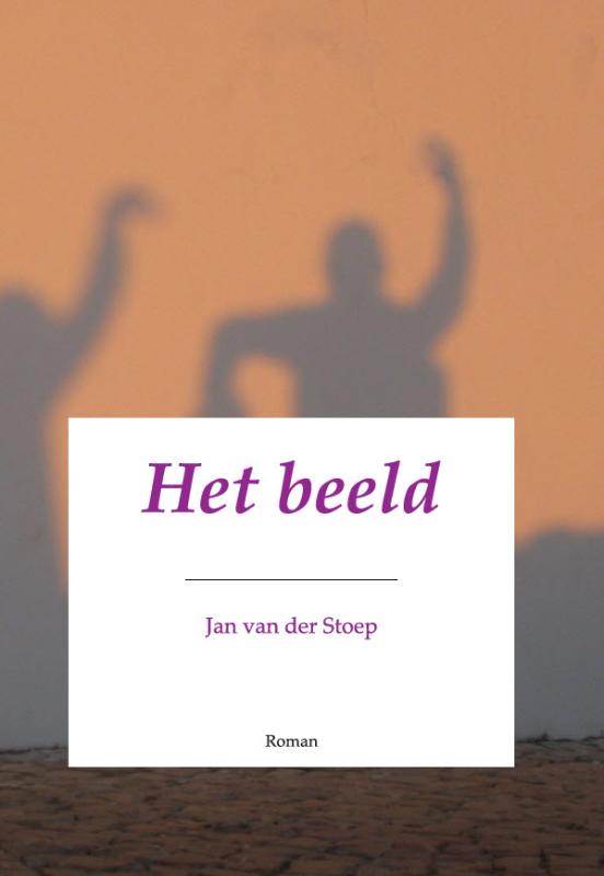 Omslag van Het beeld