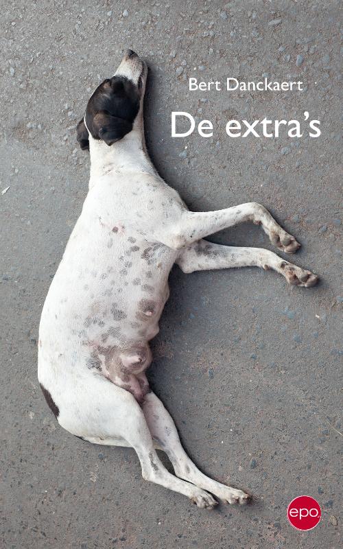 Omslag van De extra's
