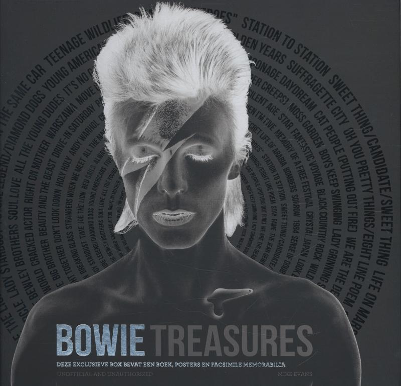 Omslag van Bowie treasures