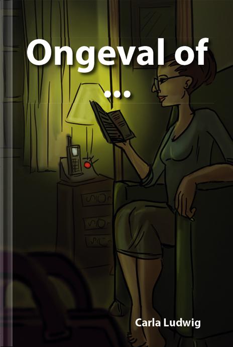 Omslag van Ongeval of