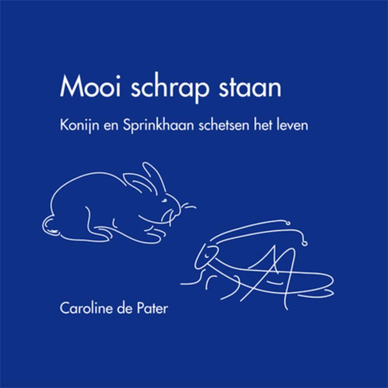 Omslag van Mooi schrap staan