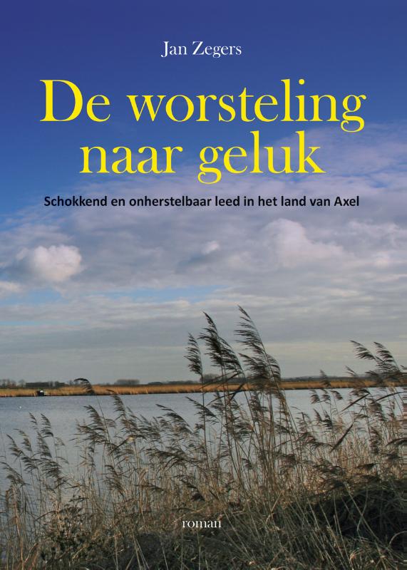 Omslag van De worsteling naar geluk 1877-1917