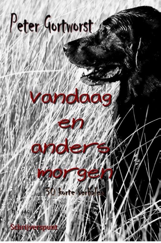 Omslag van Vandaag en anders morgen