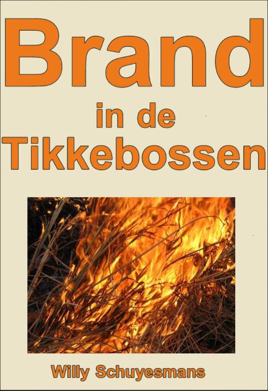Omslag van Brand in de Tikkebossen