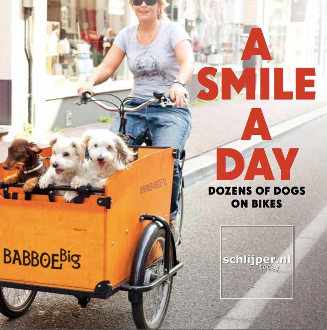 Omslag van A smile a day