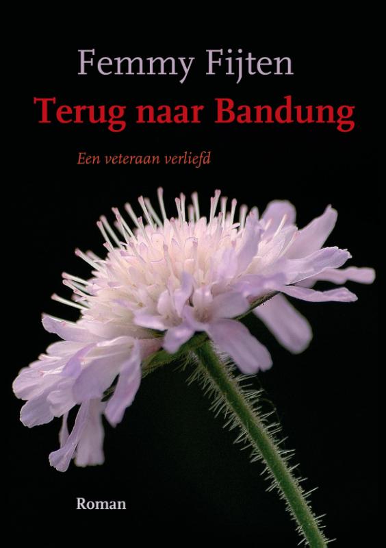 Omslag van Terug naar Bandung