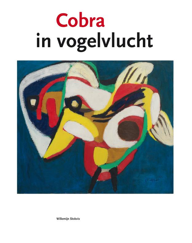 Omslag van In vogelvlucht