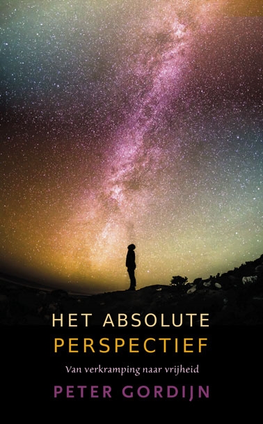 Omslag van Het absolute perspectief