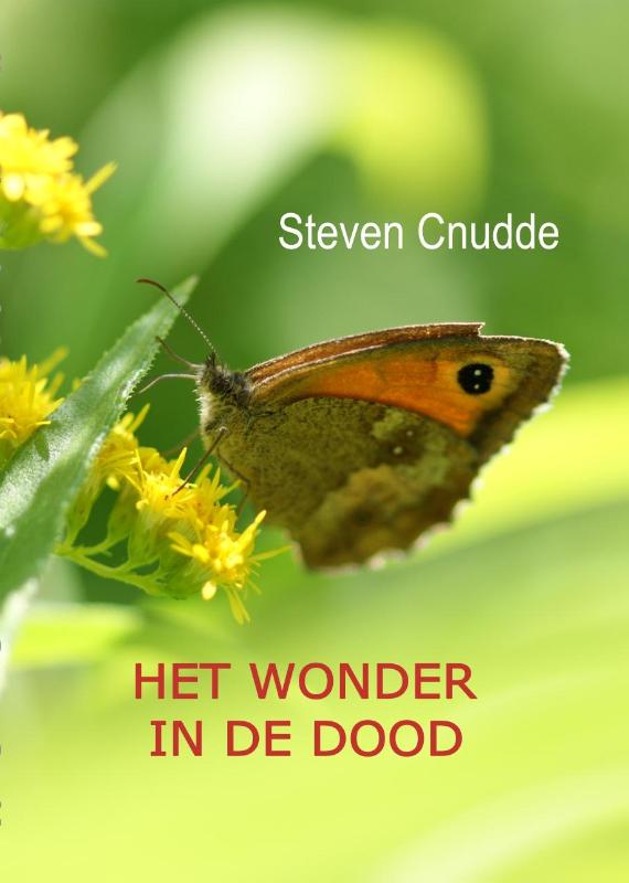 Omslag van Het wonder in de dood