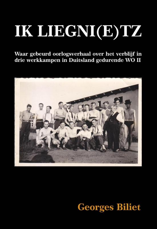 Omslag van Ik liegni(e)tz