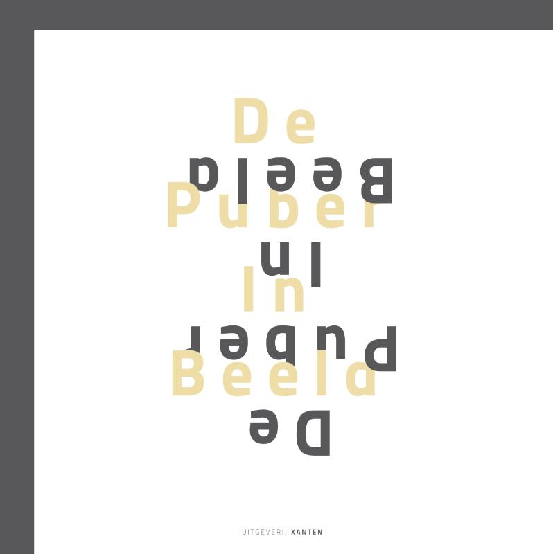 Omslag van De puber in beeld