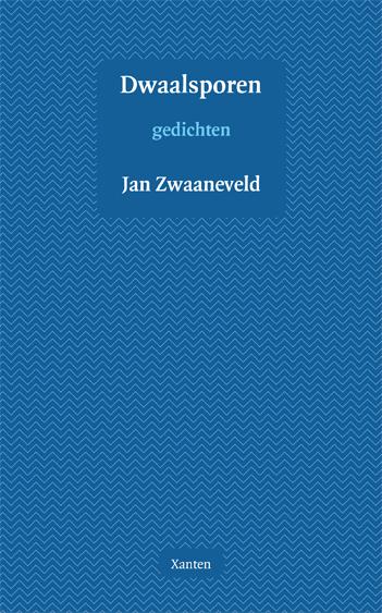 Omslag van Dwaalsporen