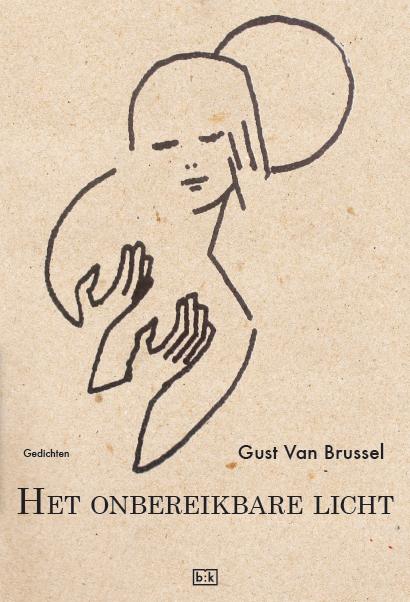 Omslag van Het onbereikbare licht