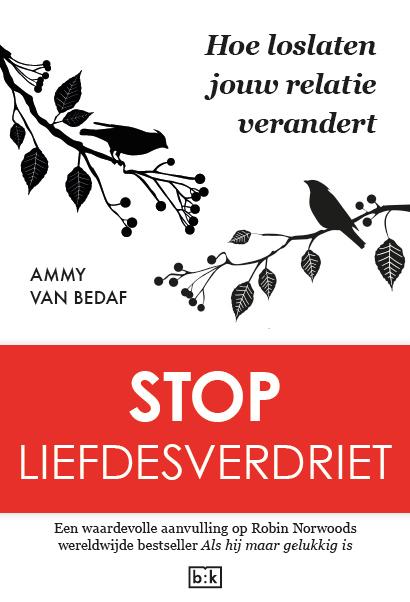 Omslag van Stop liefdesverdriet