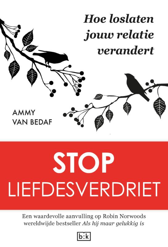 Omslag van Stop liefdesverdriet