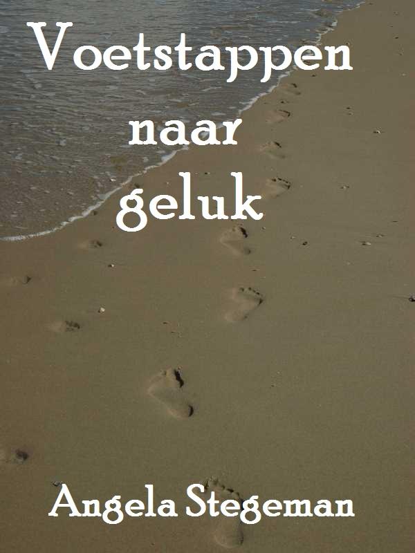 Omslag van Voetstappen naar geluk