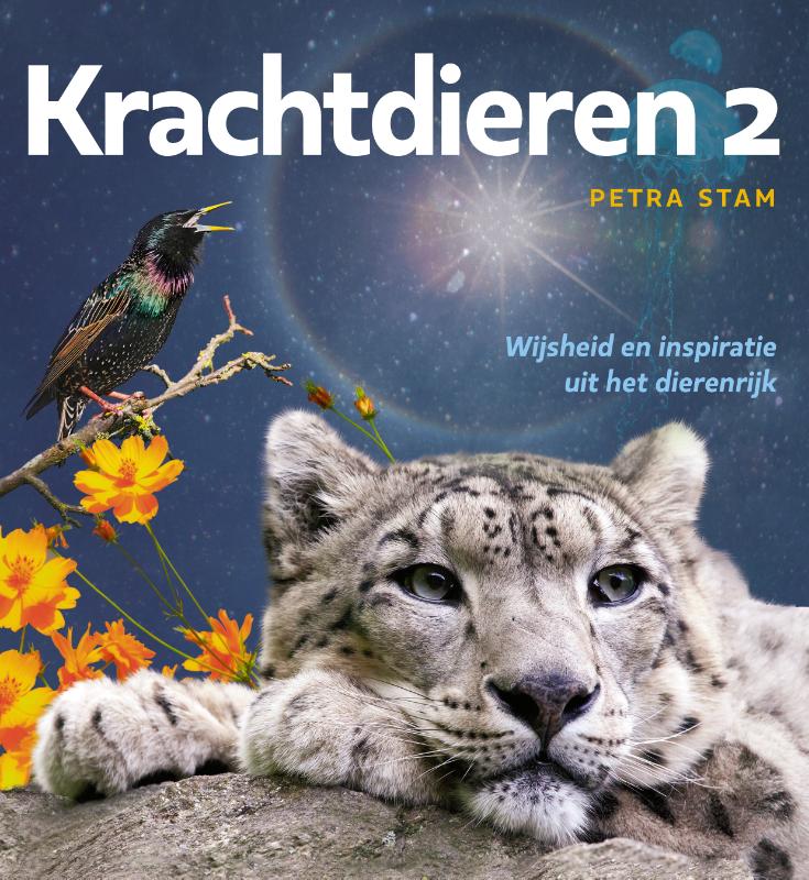 Omslag van 2