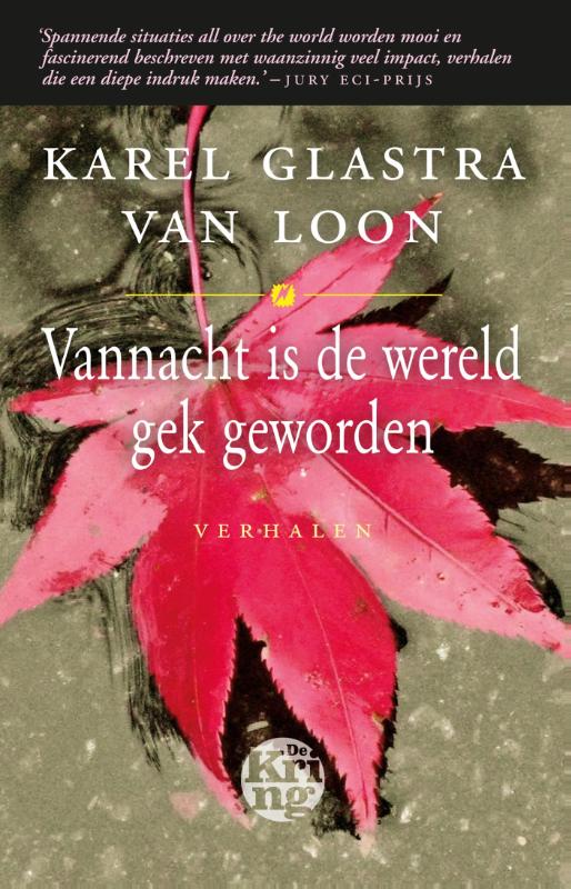 Omslag van Vannacht is de wereld gek geworden