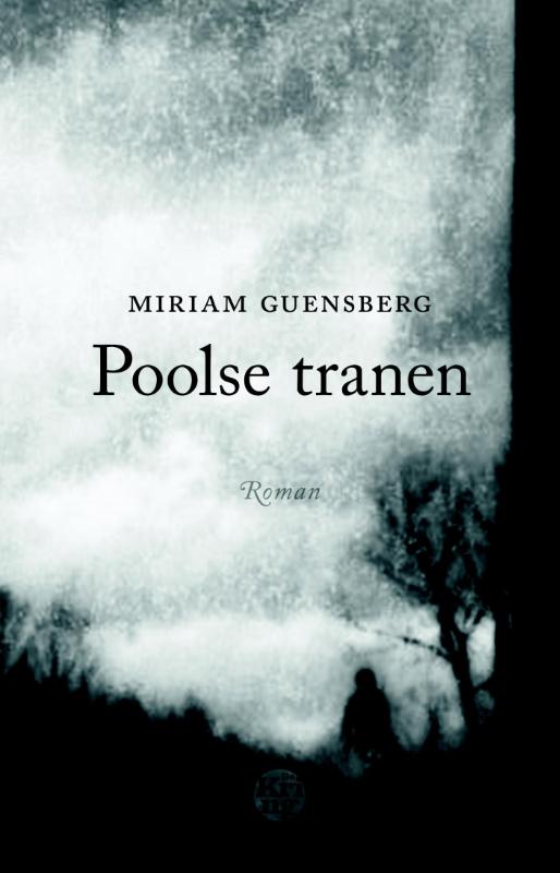 Omslag van Poolse tranen