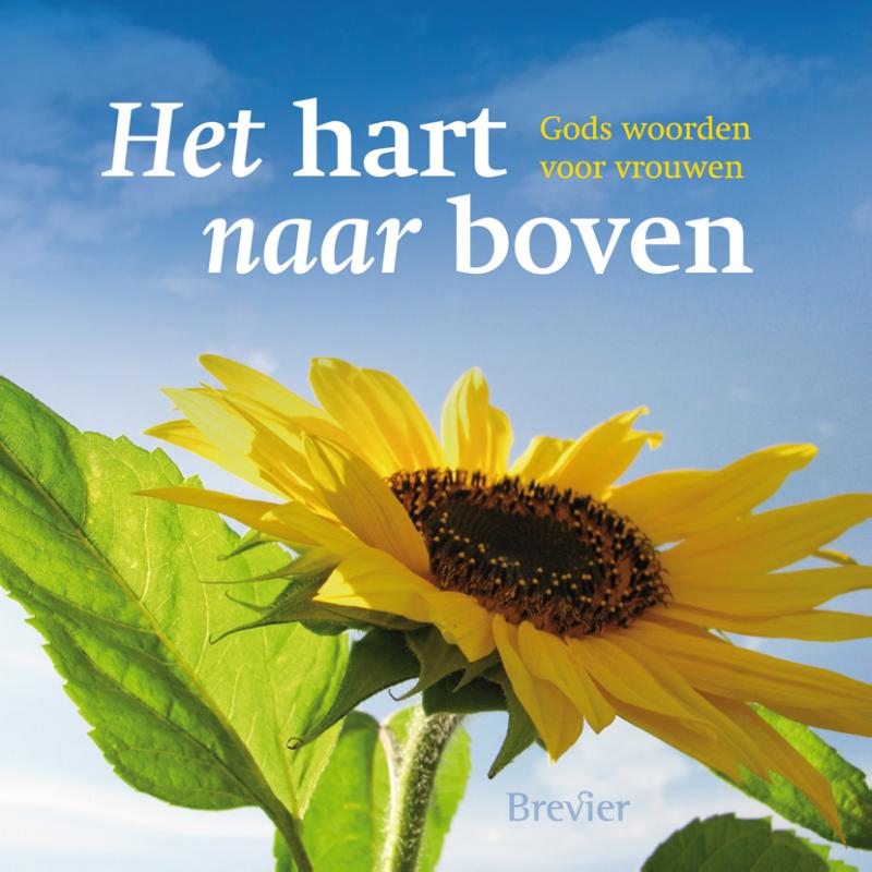 Omslag van Het hart naar boven