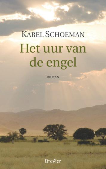 Omslag van Het uur van de engel