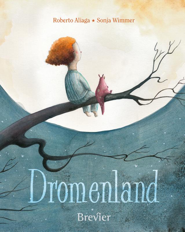 Omslag van Dromenland