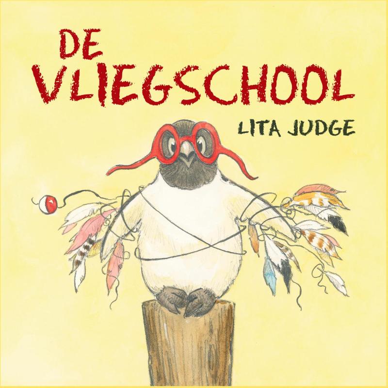 Omslag van De vliegschool