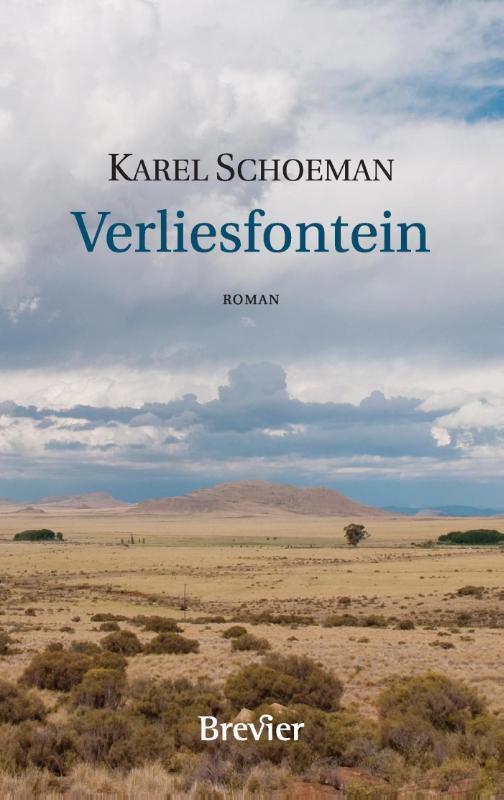 Omslag van Verliesfontein