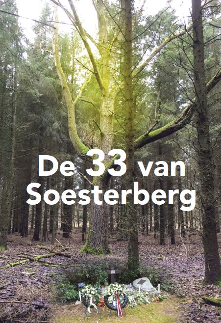 Omslag van De 33 van soesterberg