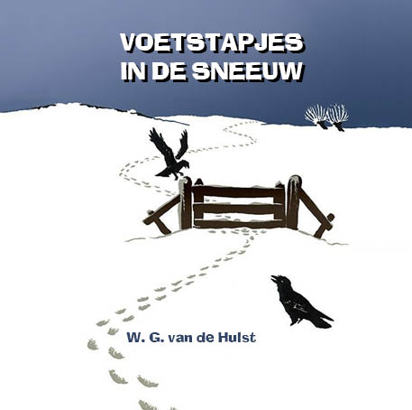 Omslag van Voetstapjes in de sneeuw