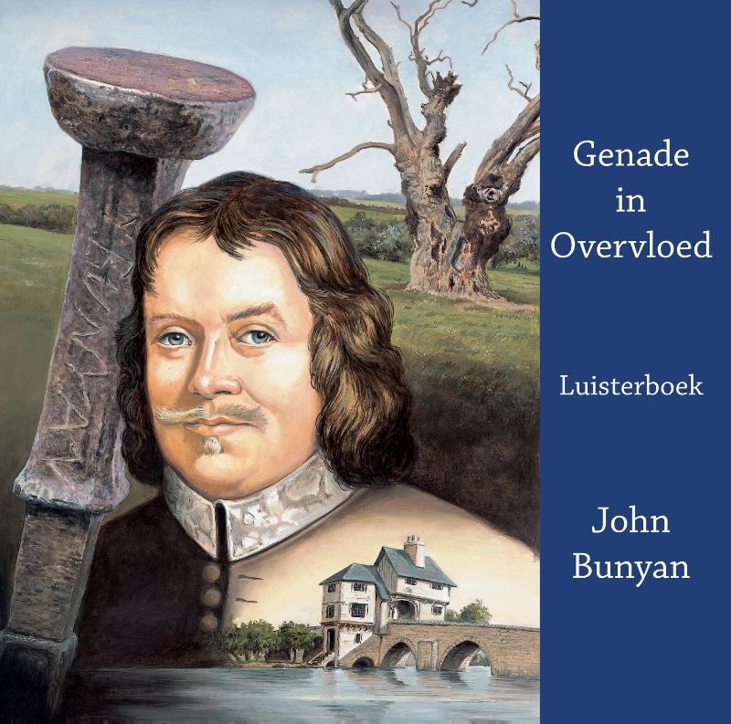 Omslag van Genade in overvloed