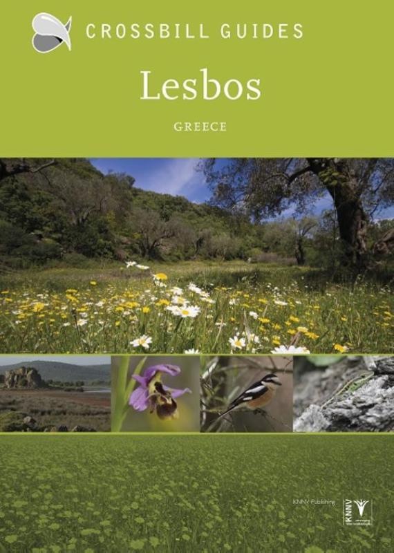 Omslag van Lesbos