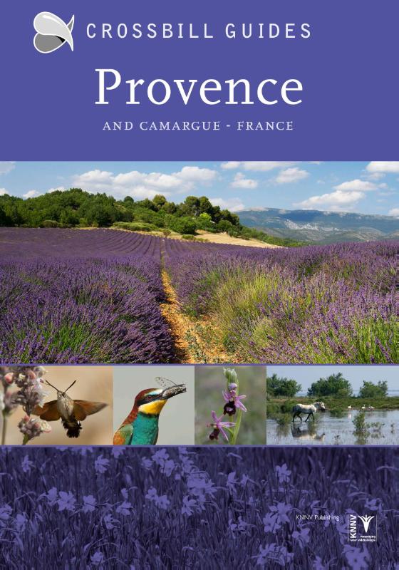 Omslag van Provence and Camargue