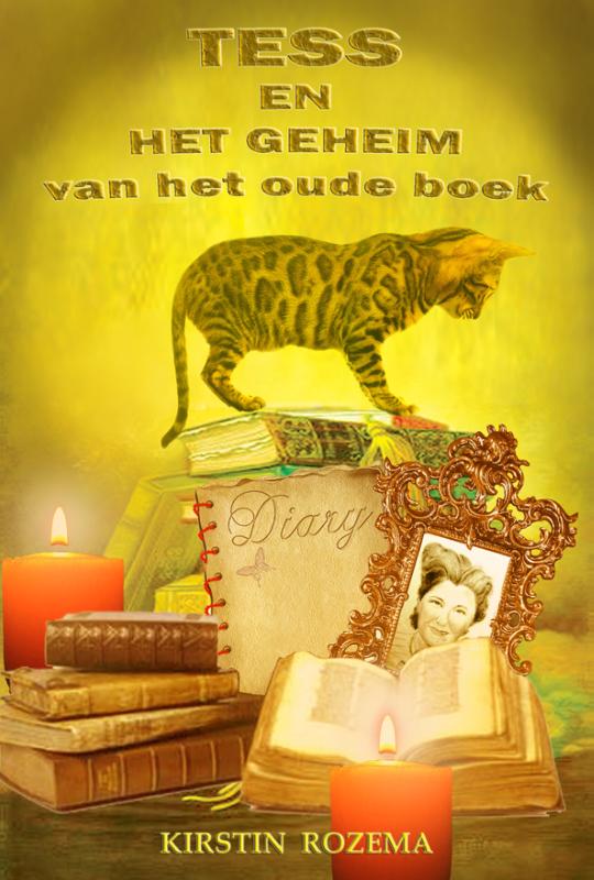 Omslag van Tess en het geheim van het oude boek