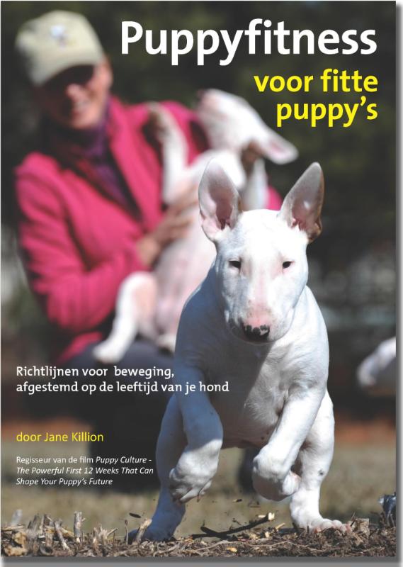 Omslag van Puppyfitness voor fitte puppy's