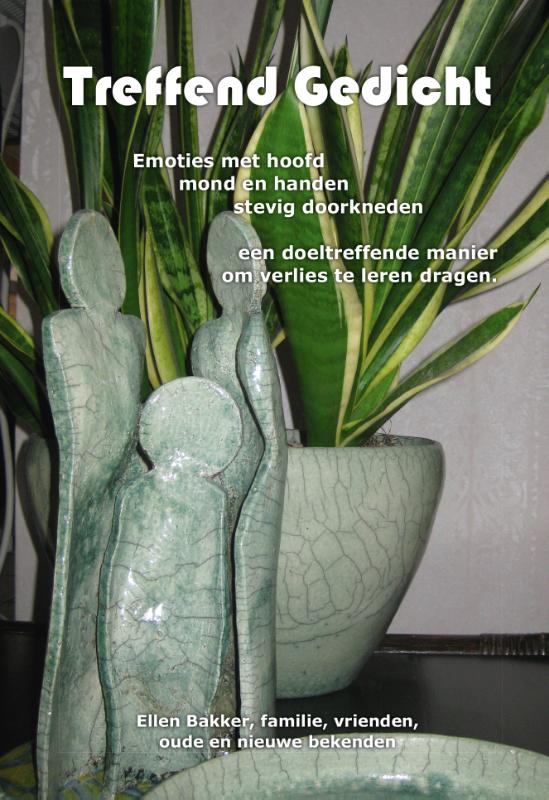 Omslag van Treffend