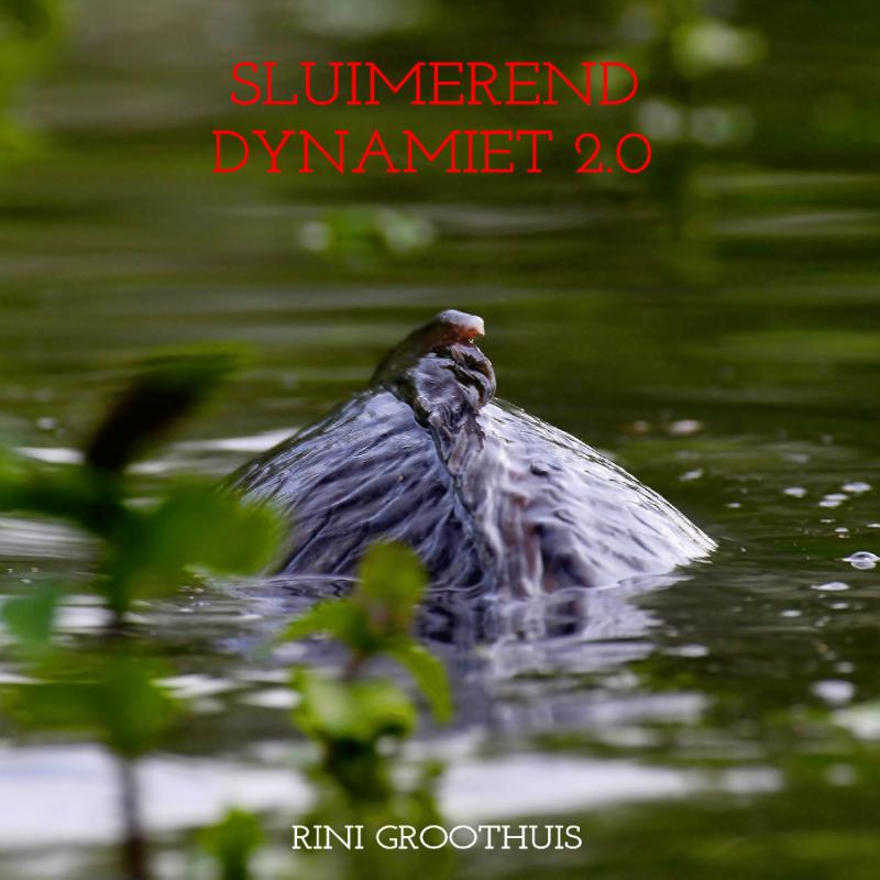 Omslag van Sluimerend dynamiet 2.0