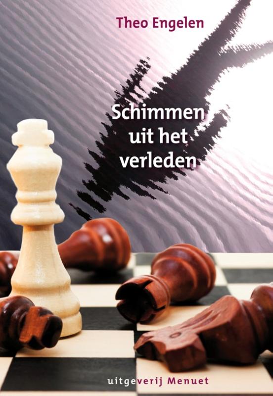 Omslag van Schimmen uit het verleden