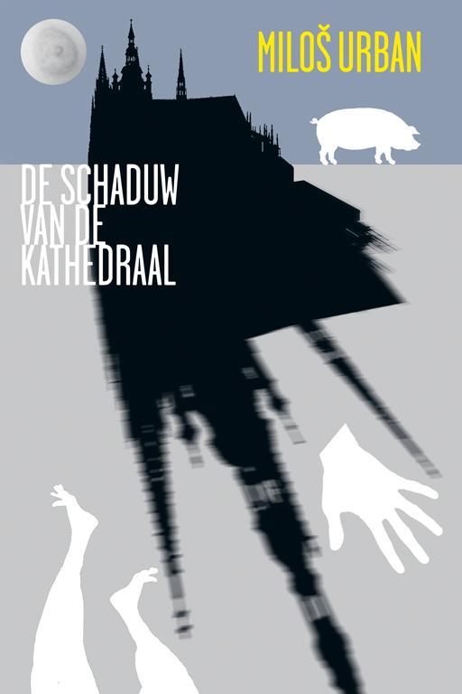 Omslag van De schaduw van de kathedraal
