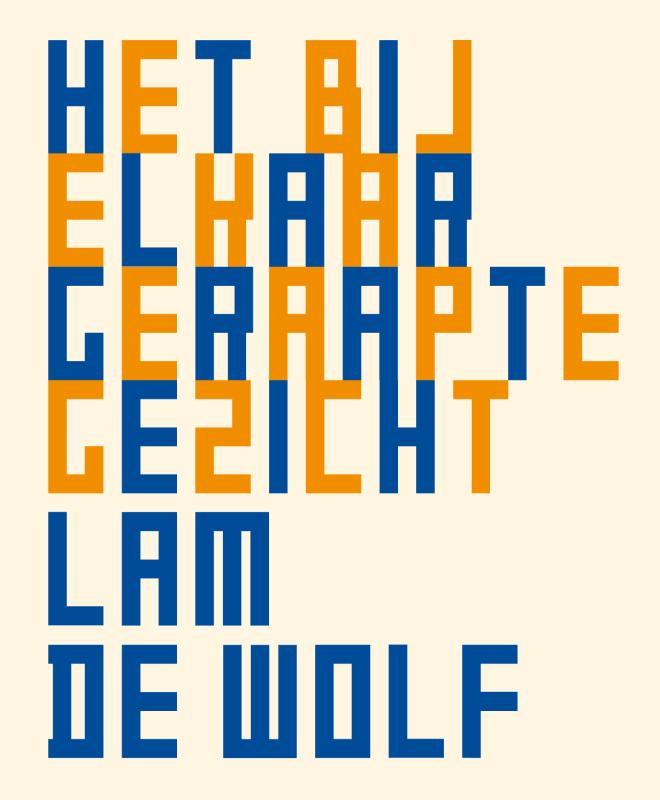 Omslag van Het bij elkaar geraapte gezicht