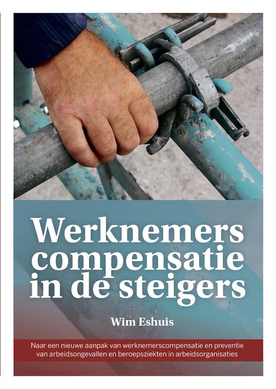 Omslag van Werknemerscompensatie in de steigers