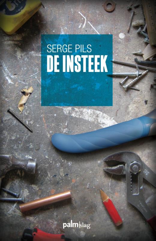 Omslag van De insteek