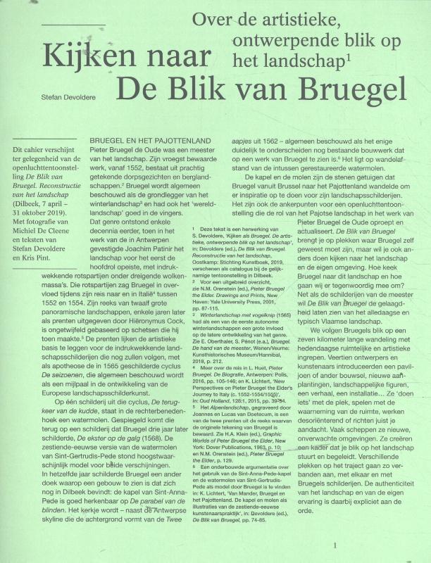 Omslag van Kijken naar de Blik van Bruegel