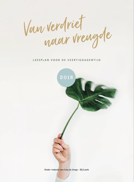 Omslag van Van verdriet naar vreugde
