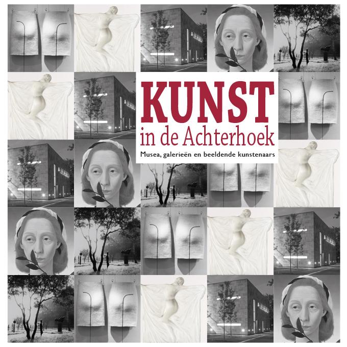 Omslag van Kunst in de Achterhoek